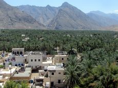 289 Blick von Festung auf Palmenplantage des Wadi Nakhl.JPG